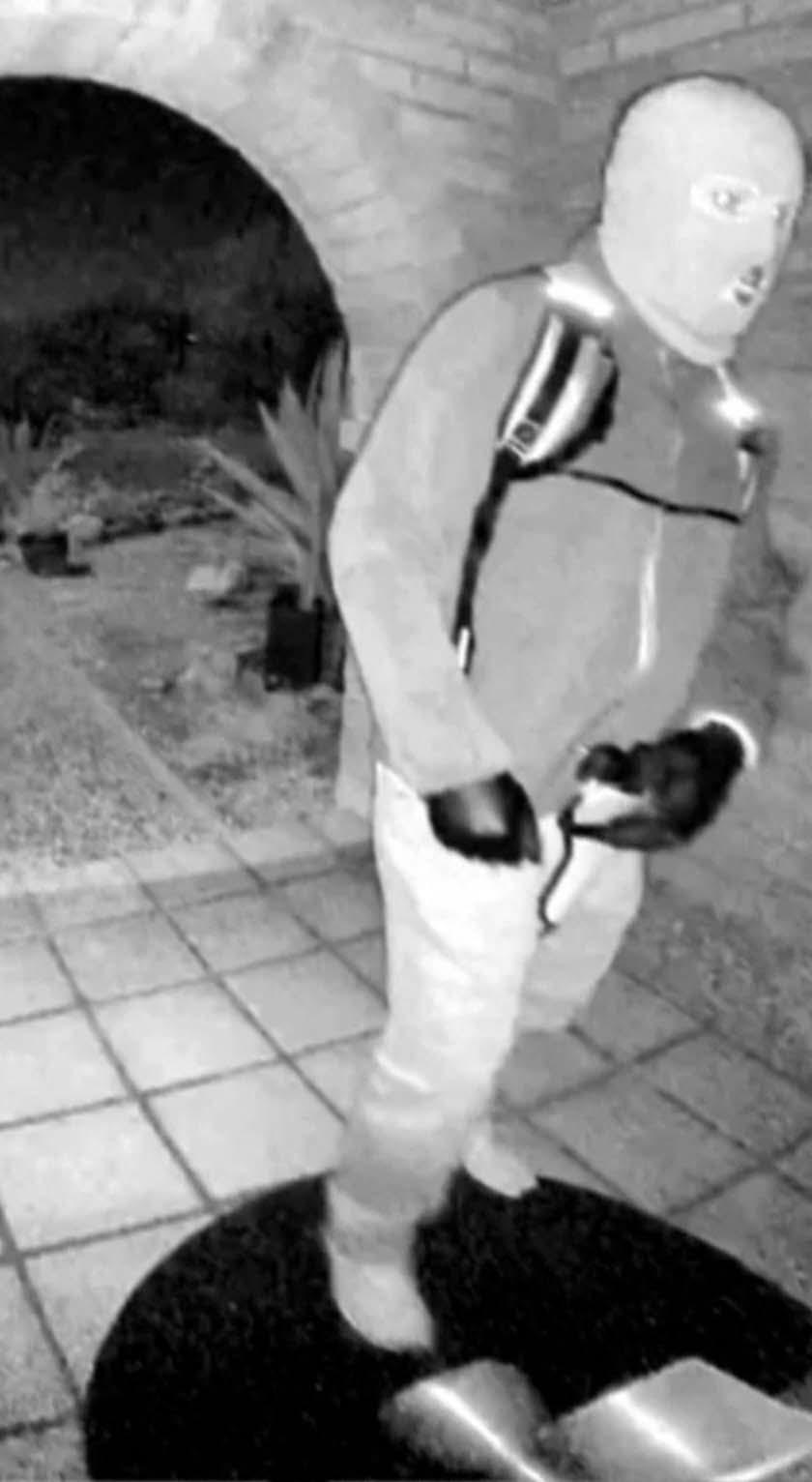 Nancy Guthrie's suspected kidnapper