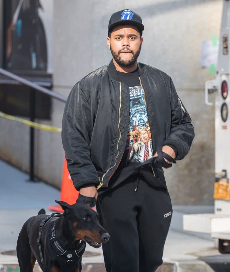 The Weeknd spotted walking his new puppy in New York.